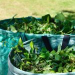 green stuff, green cuttings, gardening-7276322.jpg