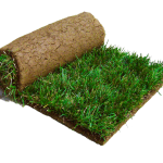turf (1)